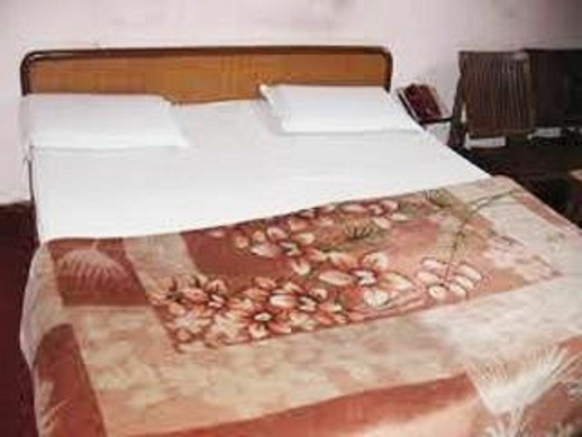 Mini Moti Mahal By Mtmc Rooms Jammu Buitenkant foto